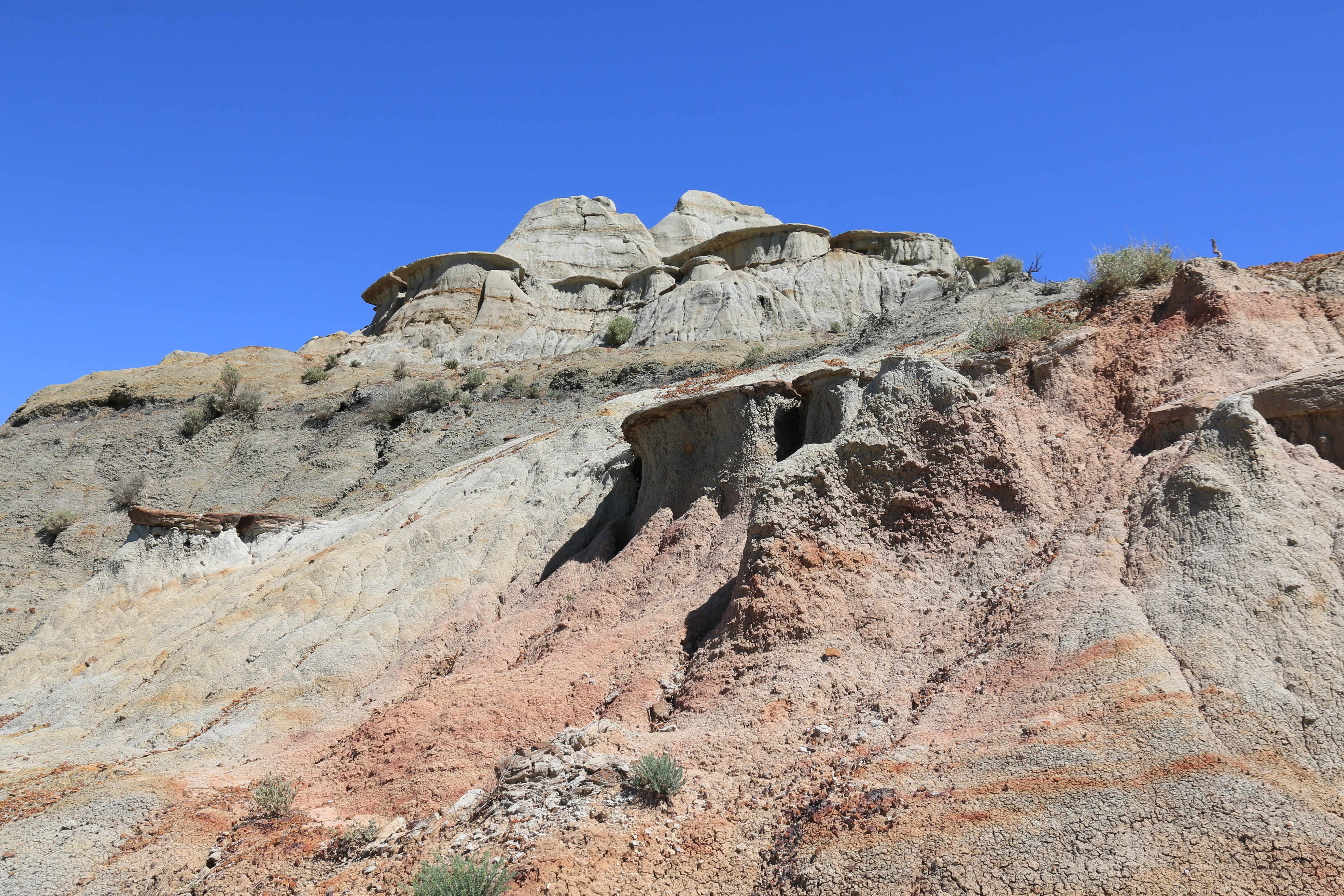 Theodore Roosevelt NP